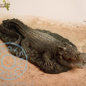 Krokodill
