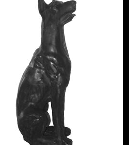 Koer (dobermann)