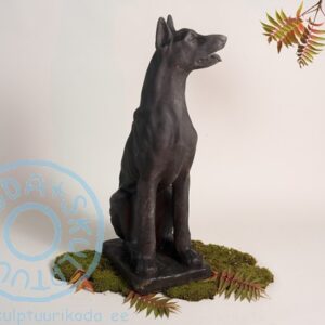 Koer (dobermann)