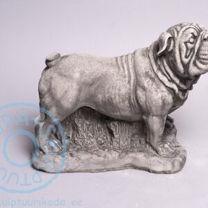 Koer (buldog)