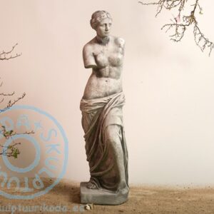 Veenus