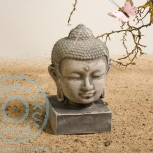 Budha