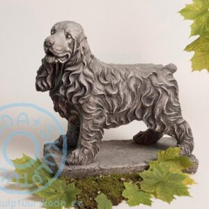 Koer spaniel